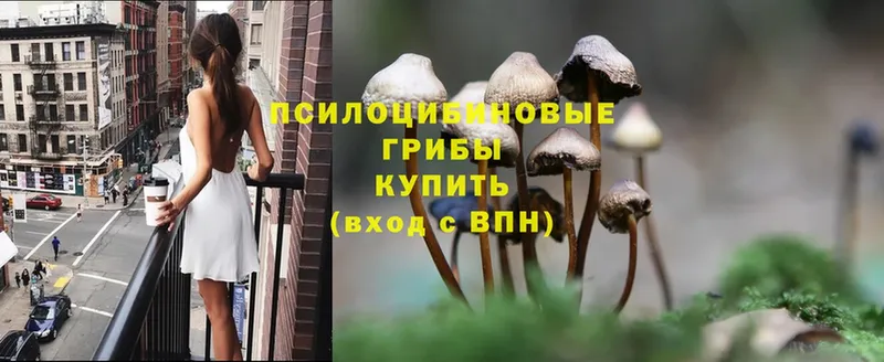 Псилоцибиновые грибы MAGIC MUSHROOMS  что такое наркотик  Кунгур 